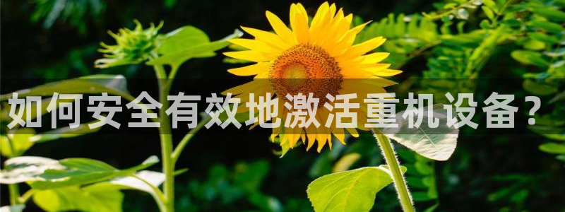 威九国际78m域名：如何安全有效地激活重机设备？