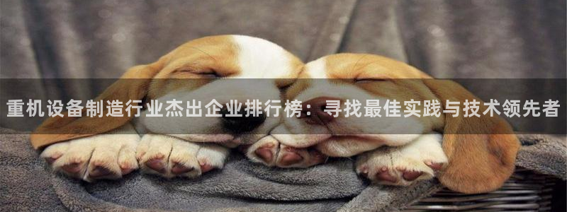 威九国际66m-66：重机设备制造行业杰出企业排行榜：寻找最