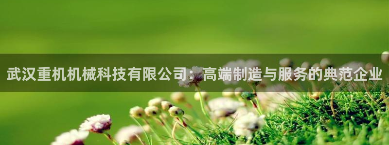 威九国际FF：武汉重机机械科技有限公司：高端制造与服务的典范