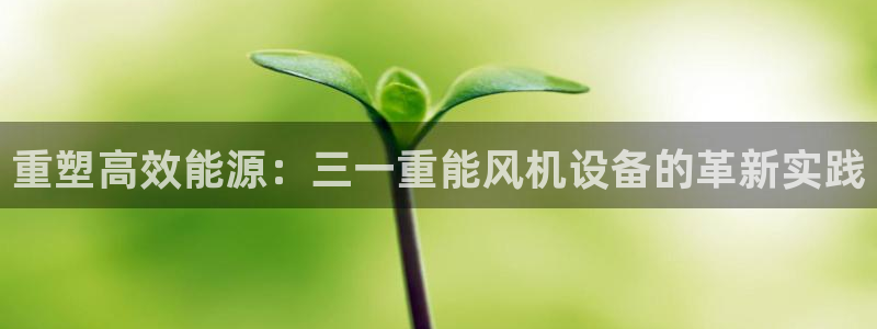 威九国际vA9618：重塑高效能源：三一重能风机设备的革新实