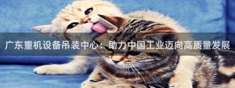 威九国际66m66成长模式免费
