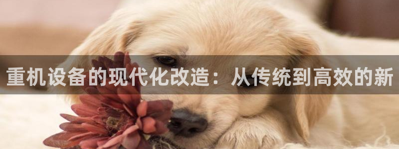 威九国际v96242cc官网版