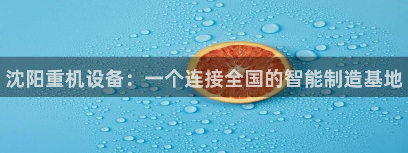 威九国际精忐