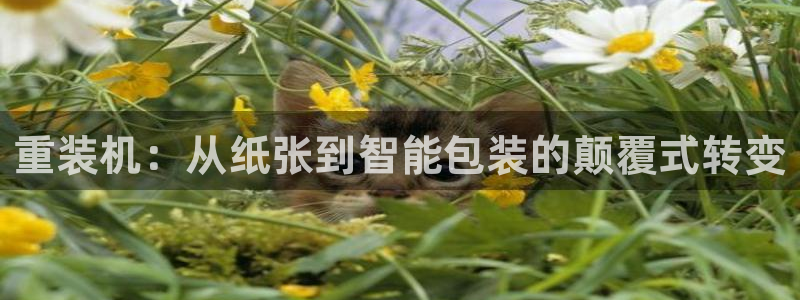 威九国际全国空降