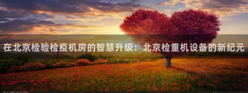威九code6070