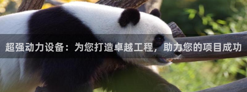 威九国际电子有限公司