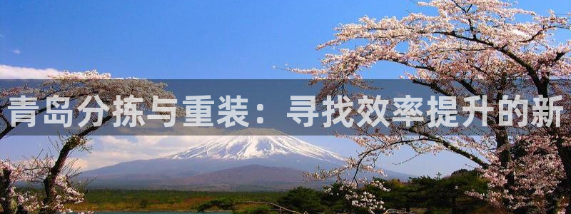 威九国际精选酒店电话