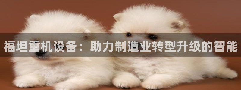 威九国际v96242cc官网版：福坦重机设备：助力制造业转型