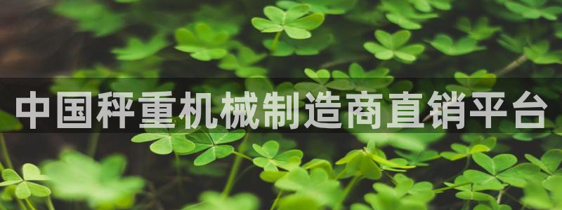 威九国际app网站官网：中国秤重机械制造商直销平台