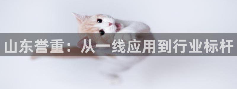 威九国际网页看视频弹窗的广告拦截插件：山东誉重：从一线应用到