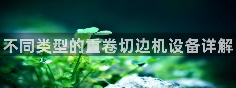 威九国际官网版下载