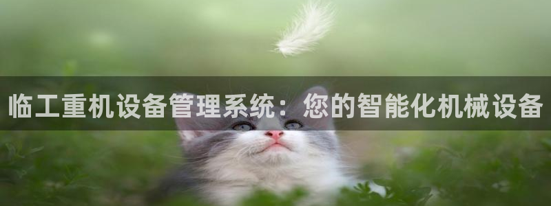 威九国际官网版下载