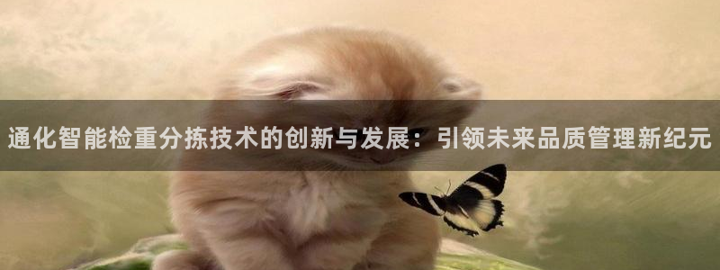 威九国际ppt免费：通化智能检重分拣技术的创新与发展：引领未