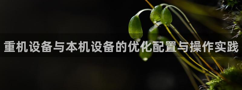 威九国际精选