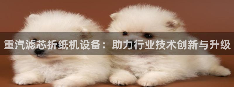 威九国际v18：重汽滤芯折纸机设备：助力行业技术创新与升级