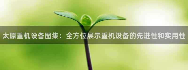 威九国际官网版下载