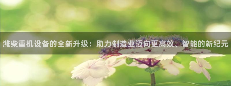 威九国际66m66成长模式