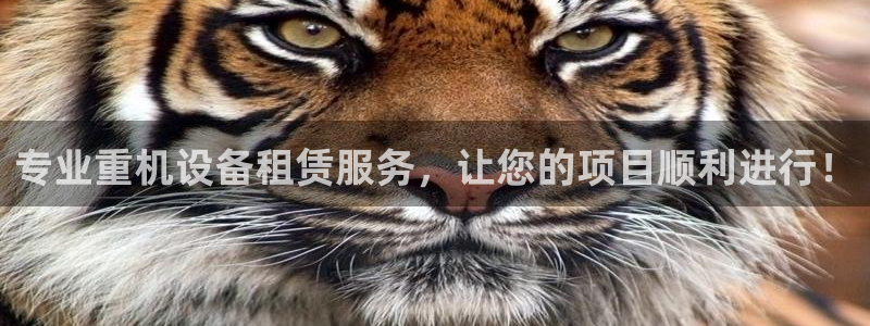威九国际取款不会被骗吧：专业重机设备租赁服务，让您的项目顺利