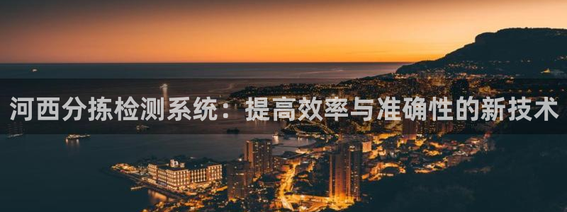 威九国际ppt官网：河西分拣检测系统：提高效率与准确性的新技