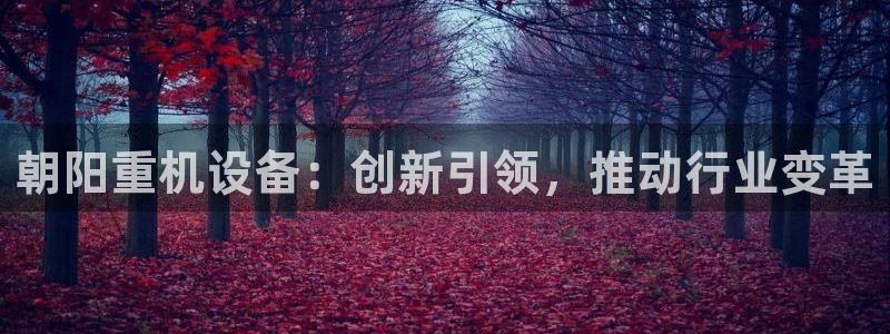 威九国际66m：朝阳重机设备：创新引领，推动行业变革