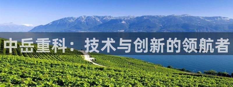 威九国际66m免费版：中岳重科：技术与创新的领航者