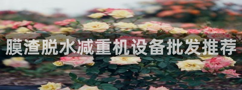 威九国际网站传媒招聘