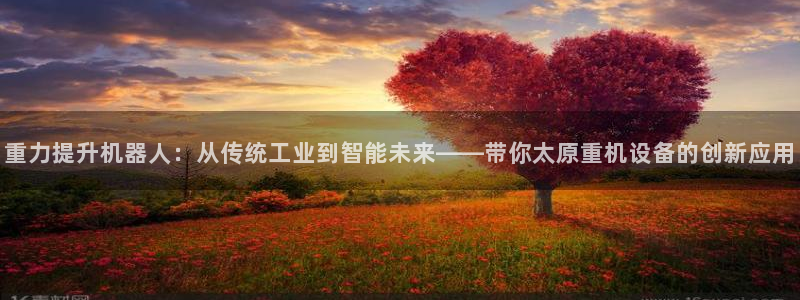 威九国际黑钱