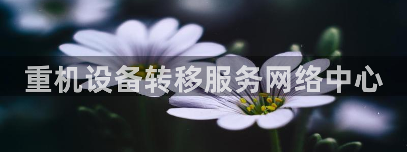 威九国际女星