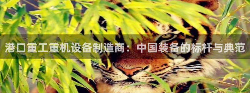 威九国际最新网站