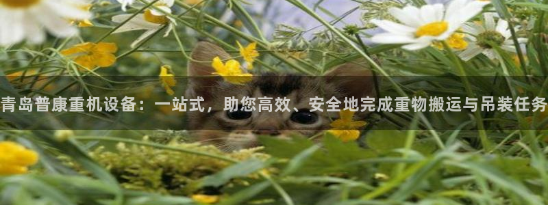 威九国际网站进入客服中心：青岛普康重机设备：一站式，助您高效