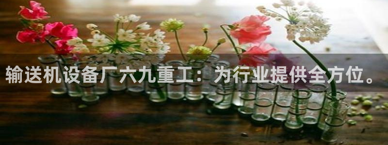 威九国际网站入囗