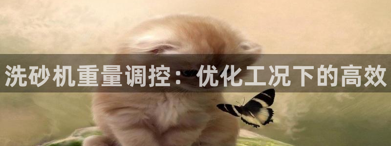 威九国际在哪里：洗砂机重量调控：优化工况下的高效
