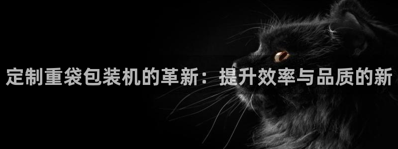 威九国际官网在线进入网站查询网址：定制重袋包装机的革新：提升