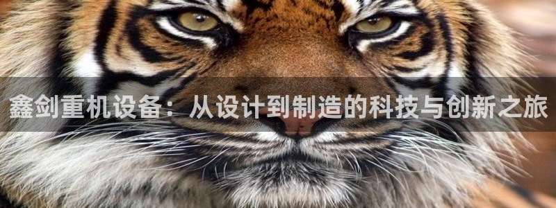 威九国际女儿的朋友