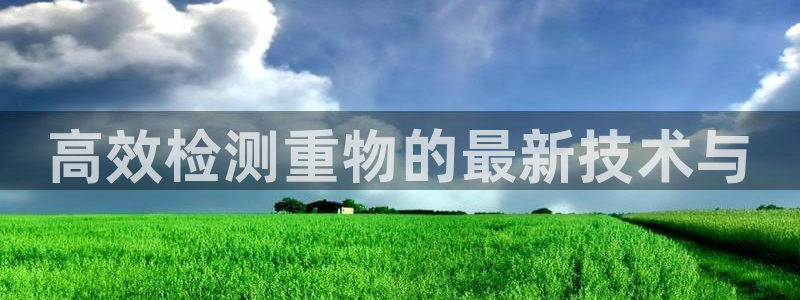 威九国际成长模式