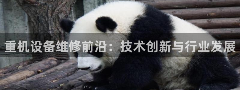 威九国际66m66成长模式：重机设备维修前沿：技术创新与行业