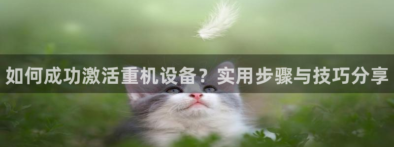 保定威九网络科技有限公司招聘