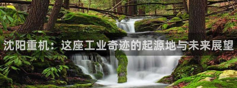 威九国际网站进入公司不断创新：沈阳重机：这座工业奇迹的起源地