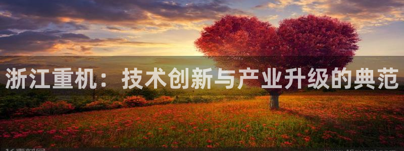 威九国际客服电话人工服务：浙江重机：技术创新与产业升级的典范