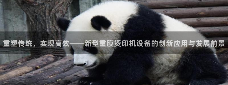 威九国际真人游戏