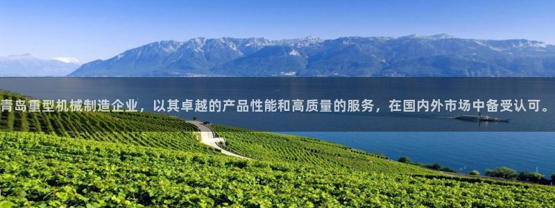 威九国际旗下艺人