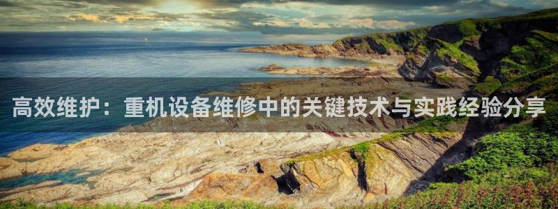 威九国际78：高效维护：重机设备维修中的关键技术与实践经验分