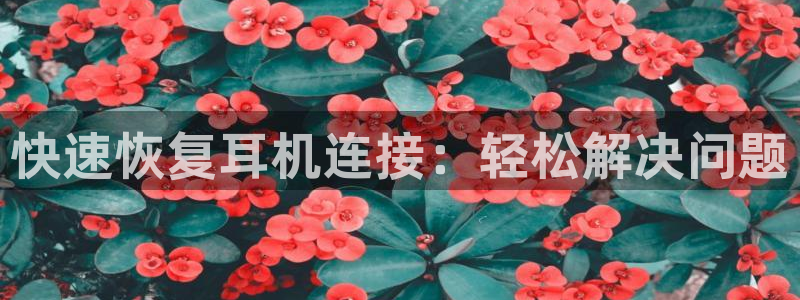 威九国际66cm：快速恢复耳机连接：轻松解决问题