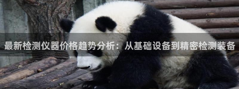 威九国际能提现吗