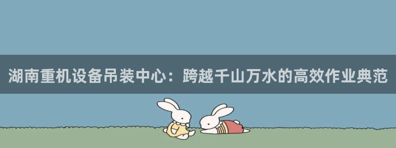 保定威九网络科技有限公司