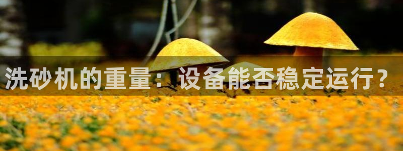 威九国际在线平台怎么样啊