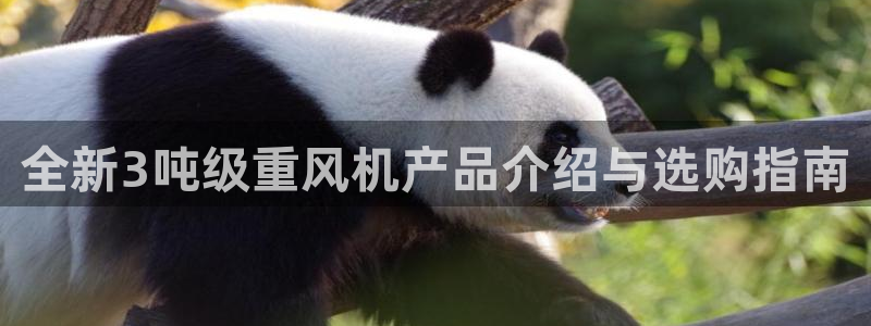 威九国际国精彩片段