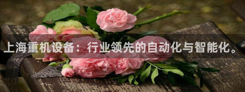威九国际网站经常打不开网页：上海重机设备：行业领先的自动化与