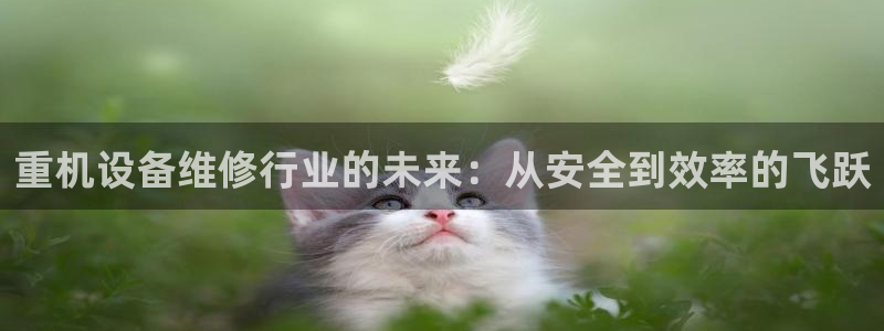 威九国际哪国的：重机设备维修行业的未来：从安全到效率的飞跃
