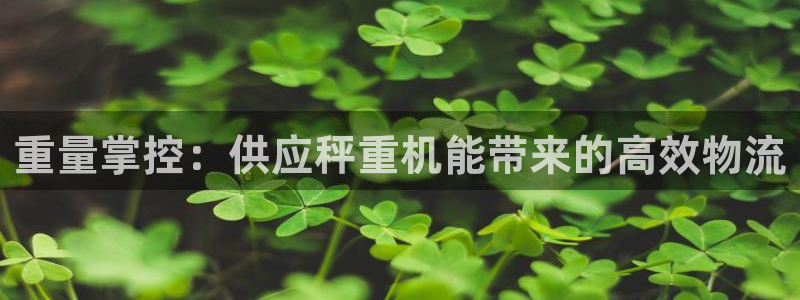 保定威九网络科技有限公司招聘：重量掌控：供应秤重机能带来的高